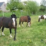 Les Racines De La Vie Rurale Apartman Ledringhem