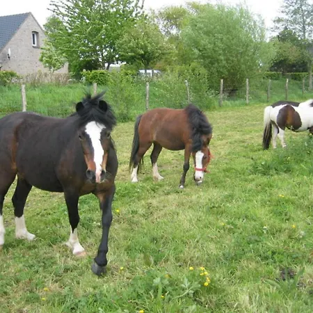 Les Racines De La Vie Rurale 아파트 Ledringhem
